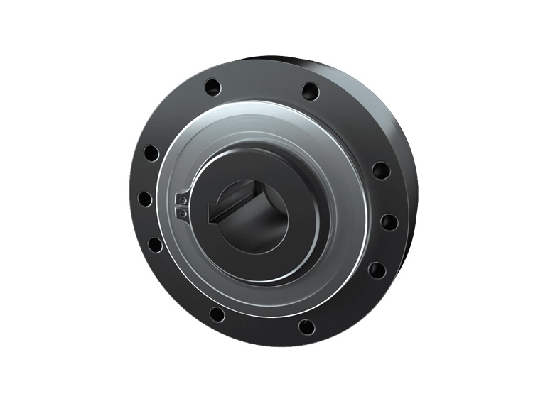 Giunto sicurezza Rifasatore